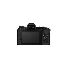 Olympus OM-D E-M5 Mark II Mirrorless Micro Four Thirds Digital Camera (Body, Black)